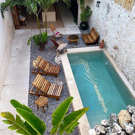 Bajo Las Hojas Campeche Exteriér fotografie